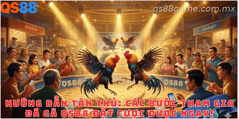 Hướng dẫn tham gia đá gà QS88 dành cho người mới